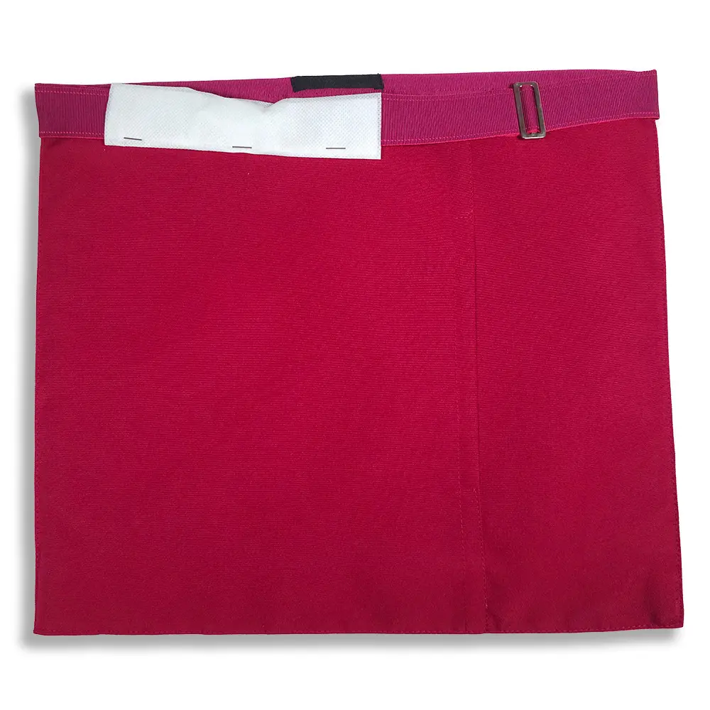 Mark Worshipful Master Apron - Lambskin - Image 5