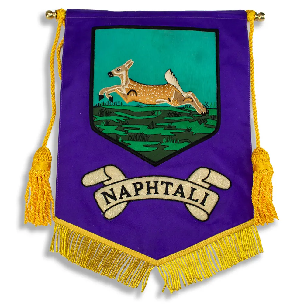 Royal Arch Ensigns Set Of Twelve - Image 10