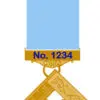 Craft Past Master Breast Jewel -blue Enamel Lodge Name &  Number On Gilt Bars