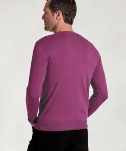 Alternative view of Devon Plum Cotton Merino Crew Neck Jumper