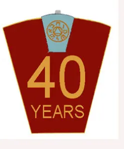 Mark 40 Year Lapel Pin