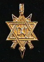 Osm Lapel Pin