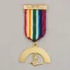Royal Ark Mariner Gilt Members Breast Jewel