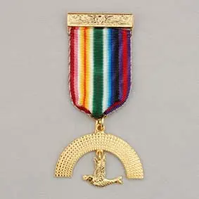 Royal Ark Mariner Gilt Members Breast Jewel
