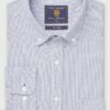 Regular Fit Blue Stripe Cotton Oxford Shirt