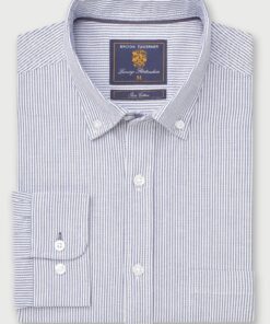 Regular Fit Blue Stripe Cotton Oxford Shirt