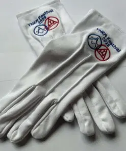 Festival 2029 Gloves